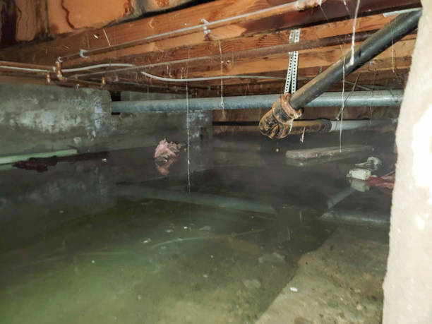 Fire Damage Restoration in LA