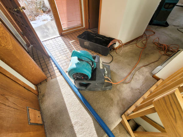 Trusted LA Water damage restoration Experts