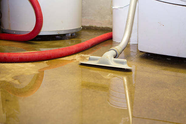 Best Sewage cleanup and water damage restoration  in Kentwood, LA