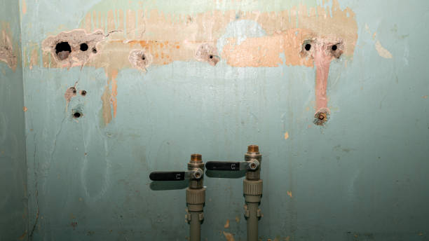 Best 24-hour water damage restoration  in Kentwood, LA