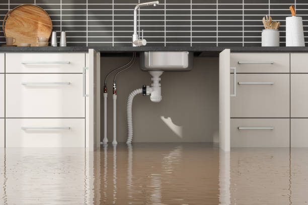 Best Water damage restoration near me  in Kentwood, LA