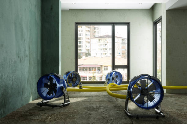 Best Water damage contractors near me  in Kentwood, LA